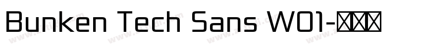 Bunken Tech Sans W01字体转换